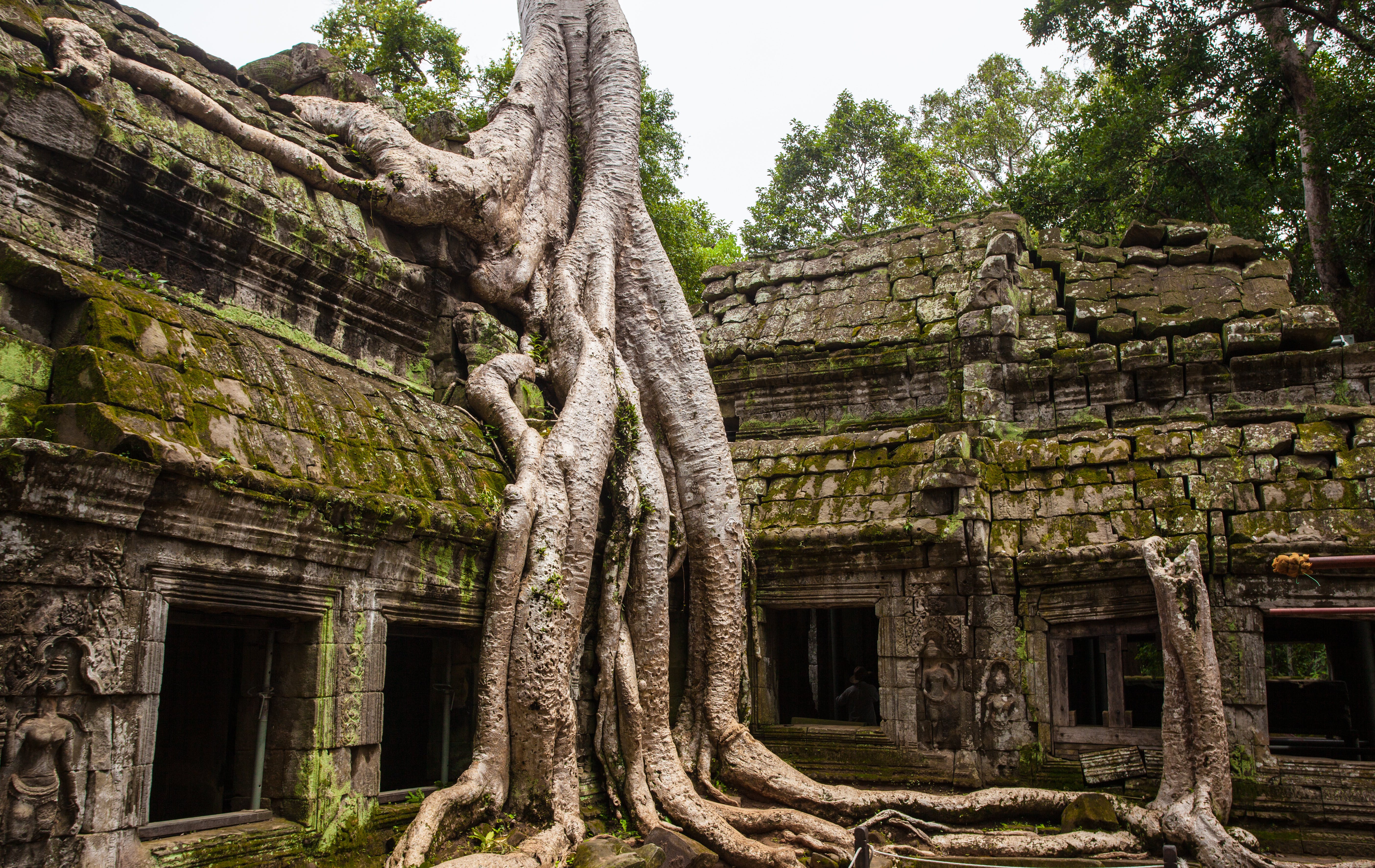 Angkor Wat